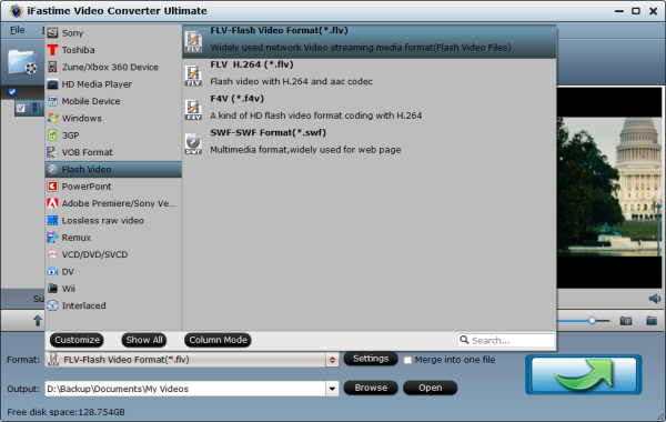 FLV Video Format